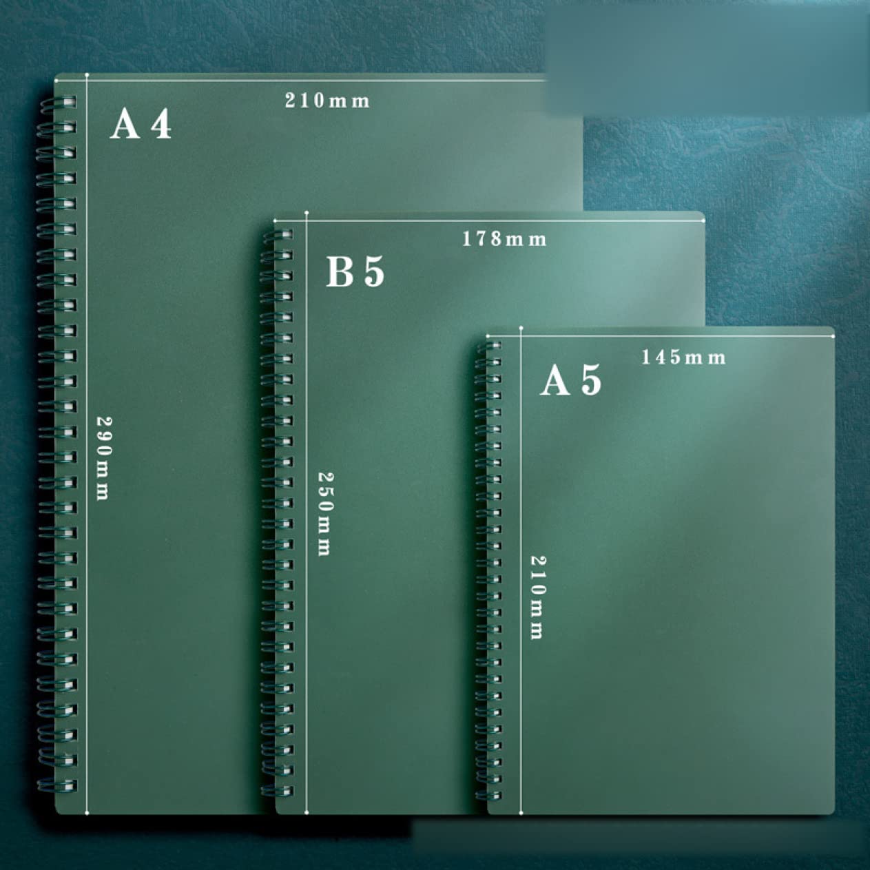 Amazon | QQZSG ノート リングノート A5 80枚 リングノートタイプ